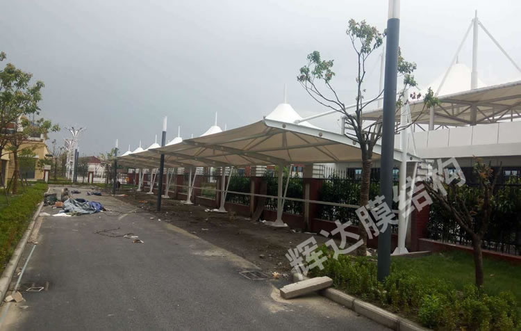 ���ʵ��СѧĤ�ṹ���г���