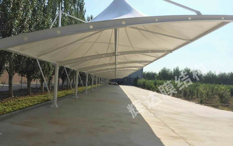 ���ͺ����ٹ���Ĥ�ṹ����