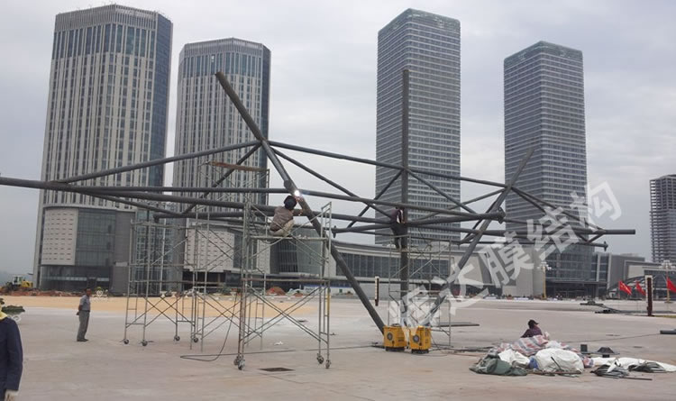 ������˹����ʲ��̩�㳡Ĥ�ṹ