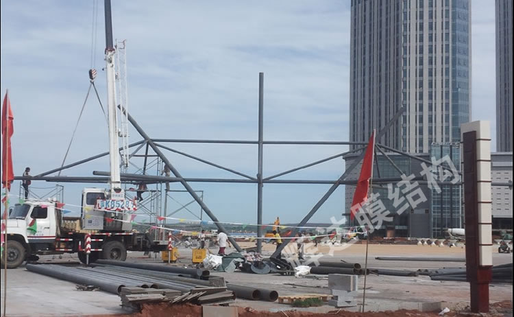 ������˹����ʲ��̩�㳡Ĥ�ṹ