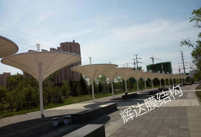 ������������Ĥ�ṹСƷ