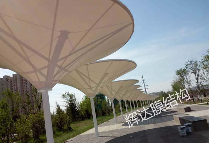 ������������Ĥ�ṹСƷ