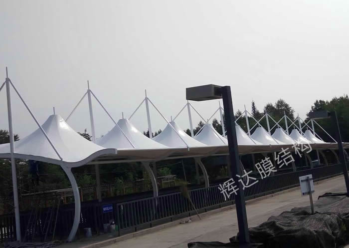 ���ֳ���ɽ���������Ⱥ���Ĥ�ṹ