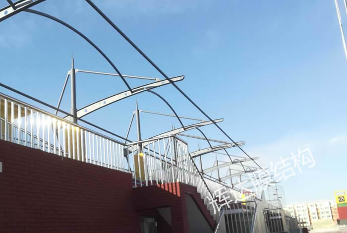 ����������������ѧУĤ�ṹ������̨