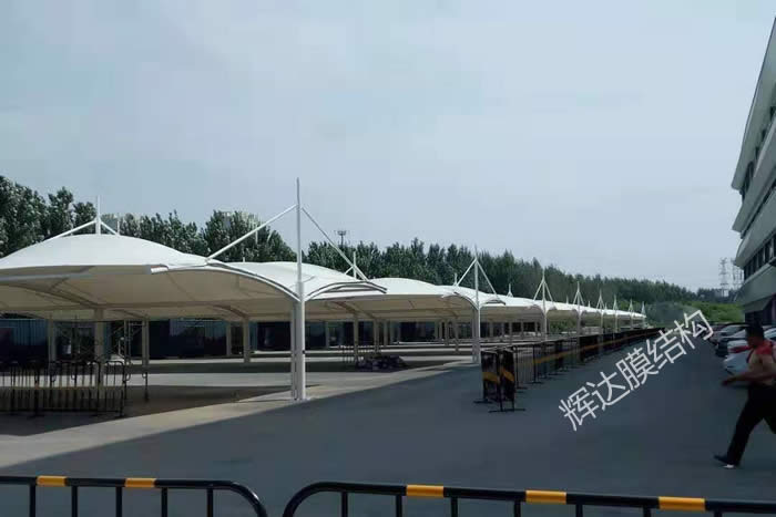 ����������������Ĥ�ṹ����